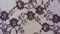 1 Yard Eggplant Floral Lace Apparel Fabric, 58/60" Wide, Elegant Sheer Design